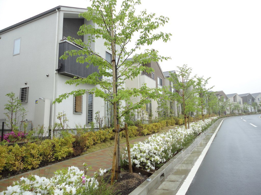 タマスマートタウン6ヶ月点検