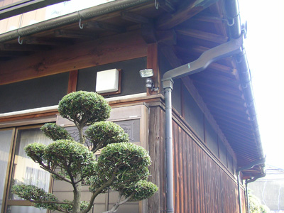 SANYO DIGITAL CAMERA